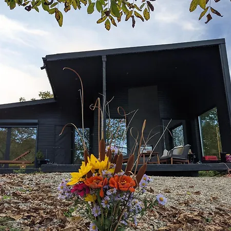 Black Walnut House With Indoor Outdoor Fireplace Izvoarele (Prahova)