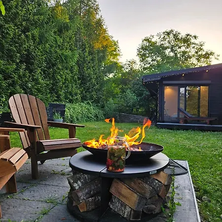 Black Walnut House With Indoor Outdoor Fireplace * Izvoarele (Prahova)